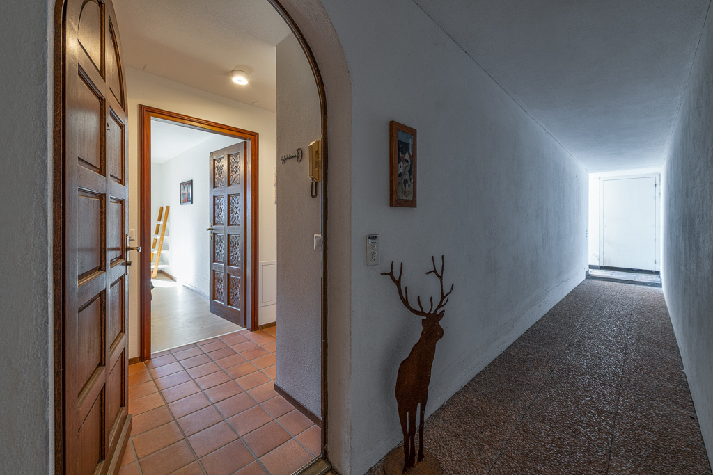 Monte Verde 1